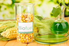 Salfords biofuel availability